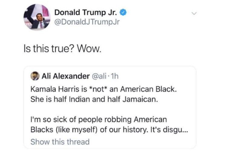 Illustration for article titled Cory Booker Tells Don Jr.: ‘Kamala Harris Doesn't Have Shit to Prove’ About Being Black